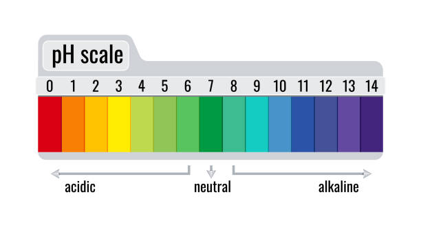 PH Meter